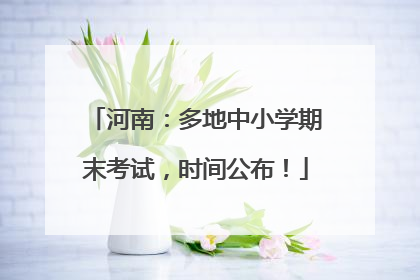 河南：多地中小学期末考试，时间公布！