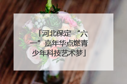 河北保定 “六一”嘉年华点燃青少年科技艺术梦