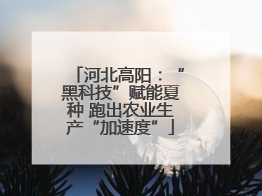 河北高阳：“黑科技”赋能夏种 跑出农业生产“加速度”