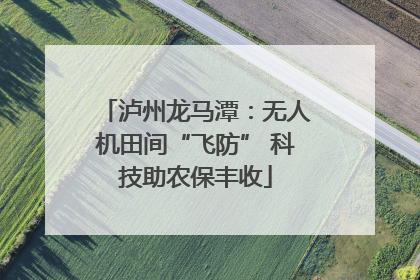 泸州龙马潭：无人机田间“飞防” 科技助农保丰收