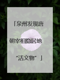 泉州发现唐朝宰相隐居地“活文物”