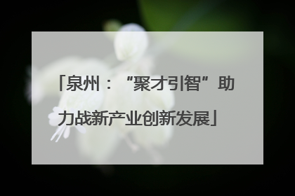 泉州：“聚才引智”助力战新产业创新发展