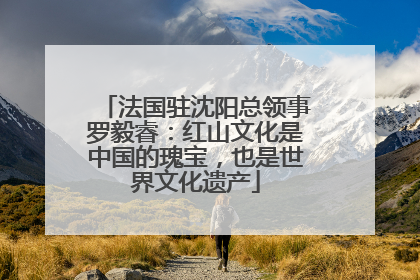 法国驻沈阳总领事罗毅睿：红山文化是中国的瑰宝，也是世界文化遗产