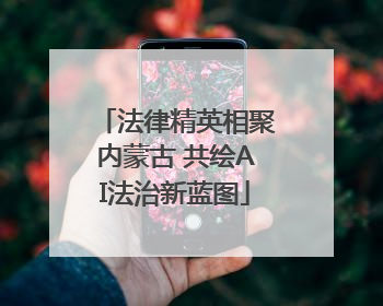 法律精英相聚内蒙古 共绘AI法治新蓝图