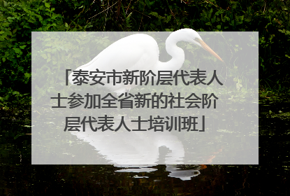 泰安市新阶层代表人士参加全省新的社会阶层代表人士培训班