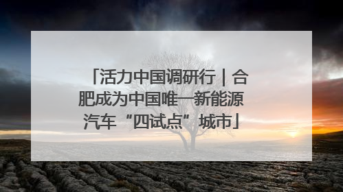 活力中国调研行｜合肥成为中国唯一新能源汽车“四试点”城市