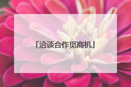 洽谈合作觅商机