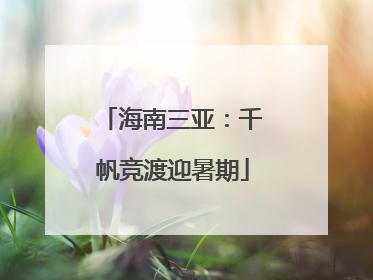 海南三亚：千帆竞渡迎暑期