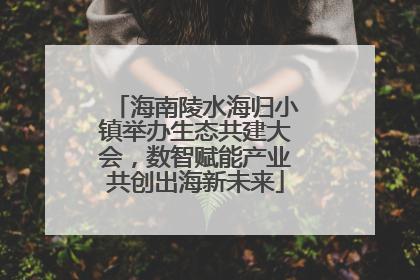 海南陵水海归小镇举办生态共建大会，数智赋能产业共创出海新未来