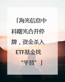 海光信息中科曙光合并停牌，资金杀入ETF基金找“平替”