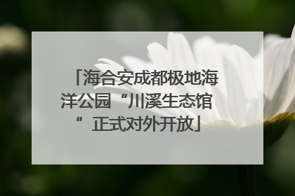 海合安成都极地海洋公园“川溪生态馆”正式对外开放