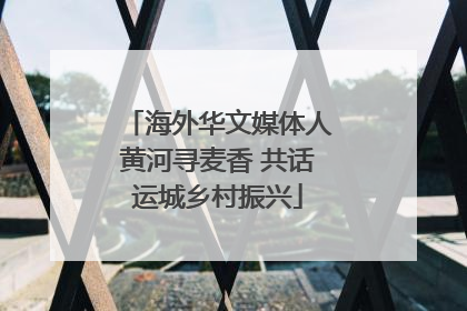 海外华文媒体人黄河寻麦香 共话运城乡村振兴