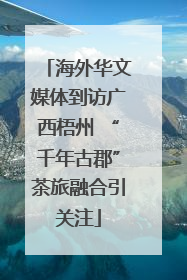 海外华文媒体到访广西梧州 “千年古郡”茶旅融合引关注