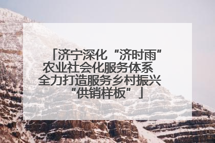 济宁深化“济时雨”农业社会化服务体系 全力打造服务乡村振兴“供销样板”