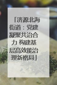 济源北海街道：党建凝聚共治合力 构建基层高效能治理新格局