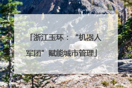 浙江玉环：“机器人军团”赋能城市管理