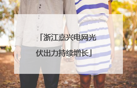 浙江嘉兴电网光伏出力持续增长