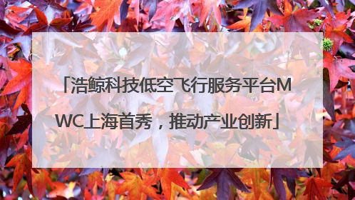 浩鲸科技低空飞行服务平台MWC上海首秀，推动产业创新