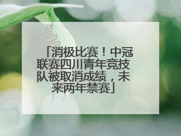 消极比赛！中冠联赛四川青年竞技队被取消成绩，未来两年禁赛