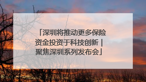 深圳将推动更多保险资金投资于科技创新｜聚焦深圳系列发布会