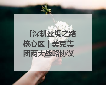 深耕丝绸之路核心区｜美克集团两大战略协议落地，激活新疆开放新动能