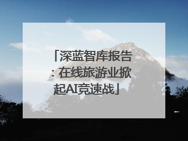 深蓝智库报告：在线旅游业掀起AI竞速战