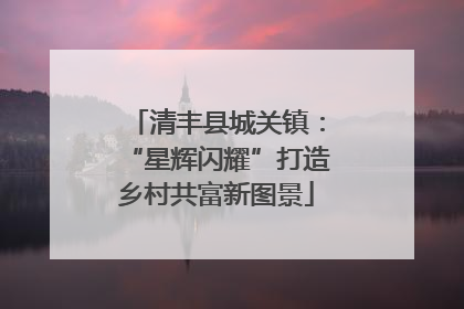 清丰县城关镇：“星辉闪耀”打造乡村共富新图景
