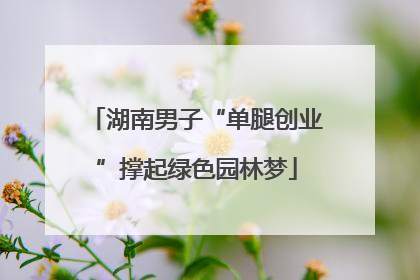 湖南男子“单腿创业”撑起绿色园林梦