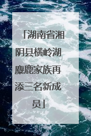 湖南省湘阴县横岭湖麋鹿家族再添三名新成员