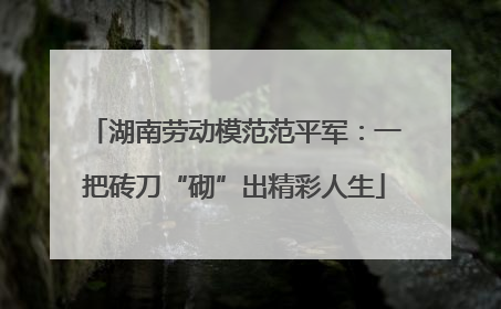 湖南劳动模范范平军：一把砖刀“砌”出精彩人生