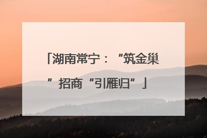 湖南常宁：“筑金巢”招商“引雁归”