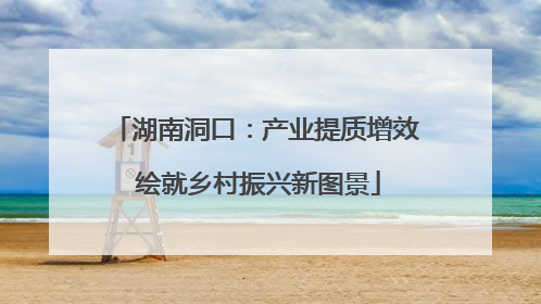 湖南洞口：产业提质增效 绘就乡村振兴新图景