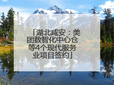 湖北咸安：美团数智化中心仓等4个现代服务业项目签约
