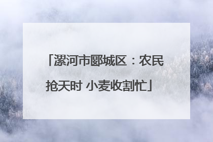 漯河市郾城区：农民抢天时 小麦收割忙