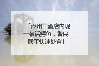 漳州一酒店内现一条活鳄鱼，警民联手快速处置