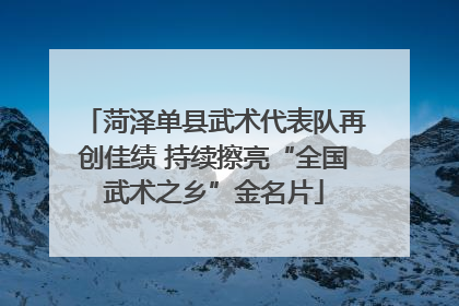 菏泽单县武术代表队再创佳绩 持续擦亮“全国武术之乡”金名片