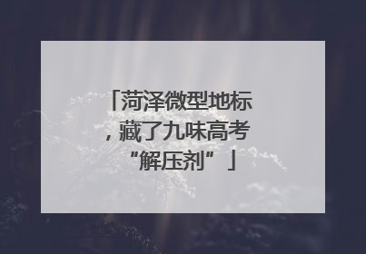 菏泽微型地标，藏了九味高考“解压剂”