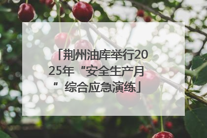 荆州油库举行2025年“安全生产月”综合应急演练