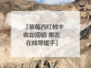 草莓西红柿丰收却滞销 果农在线等援手