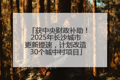 获中央财政补助！2025年长沙城市更新提速，计划改造30个城中村项目