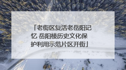 老街区复活老岳阳记忆 岳阳楼历史文化保护利用示范片区开街