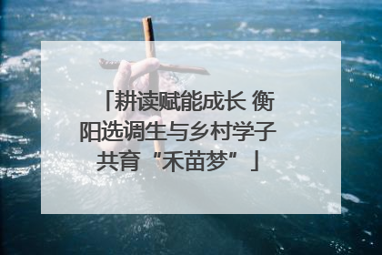 耕读赋能成长 衡阳选调生与乡村学子共育“禾苗梦”