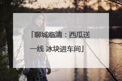 聊城临清：西瓜送一线 冰块进车间