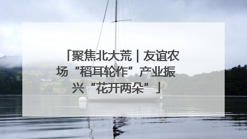 聚焦北大荒｜友谊农场“稻耳轮作”产业振兴“花开两朵”