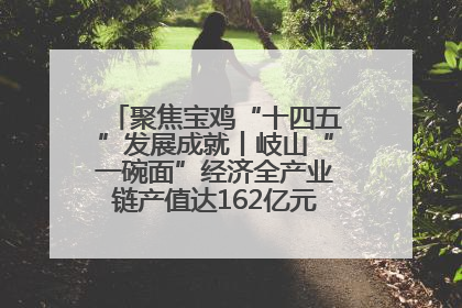 聚焦宝鸡“十四五”发展成就丨岐山“一碗面”经济全产业链产值达162亿元 入选全国典型县
