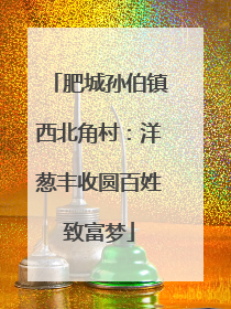 肥城孙伯镇西北角村：洋葱丰收圆百姓致富梦