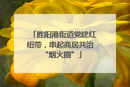 胜阳港街道党建红纽带，串起商居共治 “烟火圈”