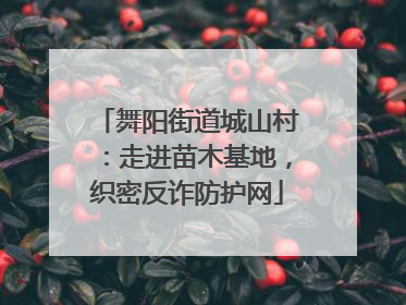 舞阳街道城山村：走进苗木基地，织密反诈防护网