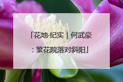 花地·纪实｜何武豪：繁花院落对斜阳