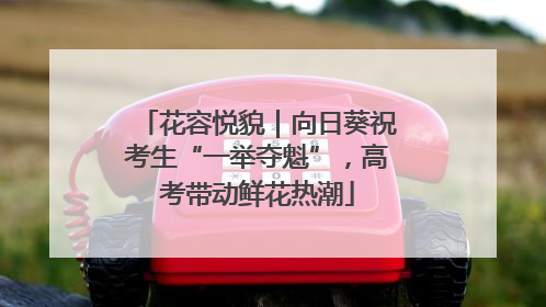 花容悦貌｜向日葵祝考生“一举夺魁”，高考带动鲜花热潮